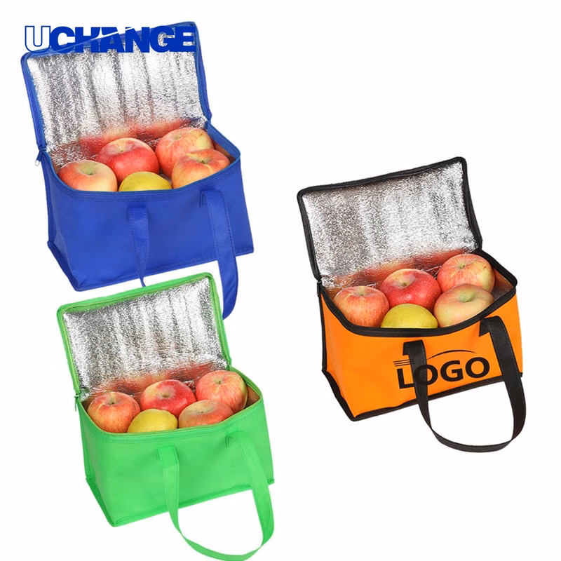 Reusable Insulated Grocery Bag Organizer