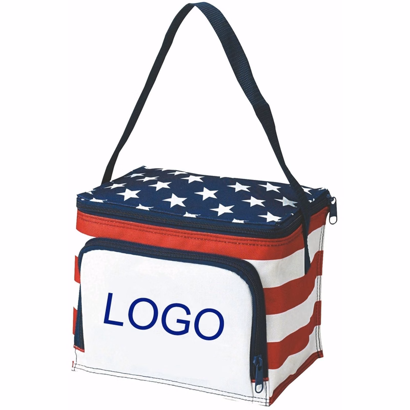 Stars & Stripes Cooler/Lunch Bag