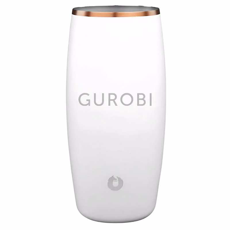 18oz. Snowfox Insulated Beer Tumbler
