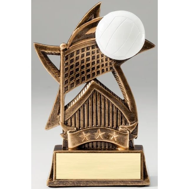 Volleyball Star Series Award 1