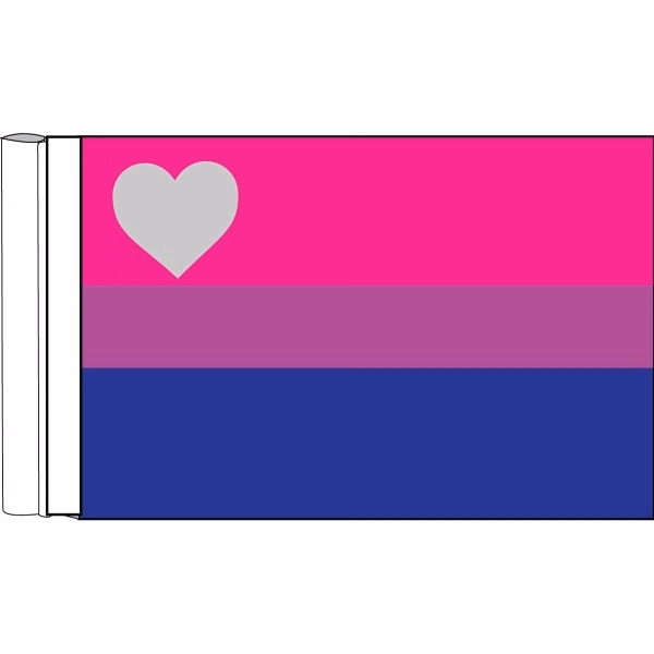 Biromantic Antenna Flag