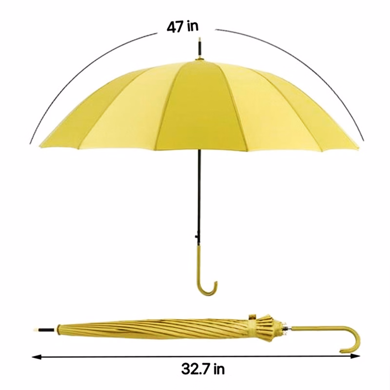 Umbrella With Hook Handle