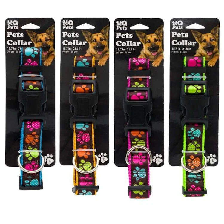 Pet Collars - Large Assorted 1