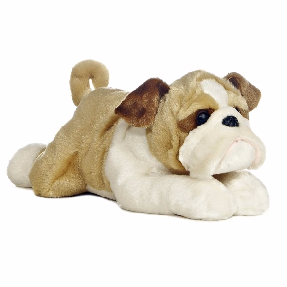 12" Wills Bulldog