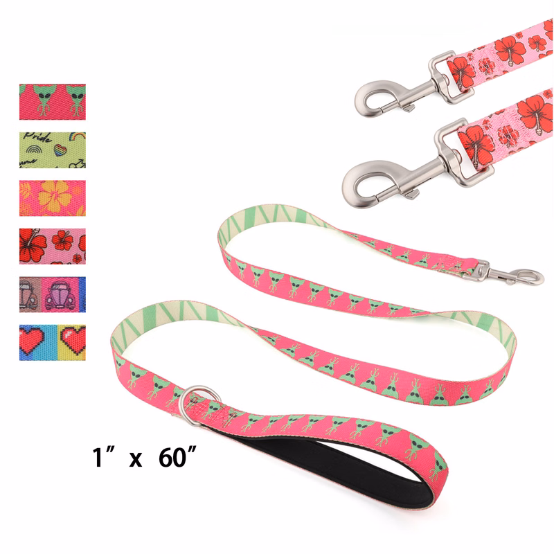 Nylon Pet Leash With Metal Carabiner