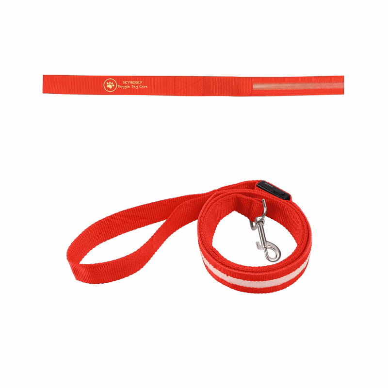 Rechargeable LED Light-Up Dog Leash