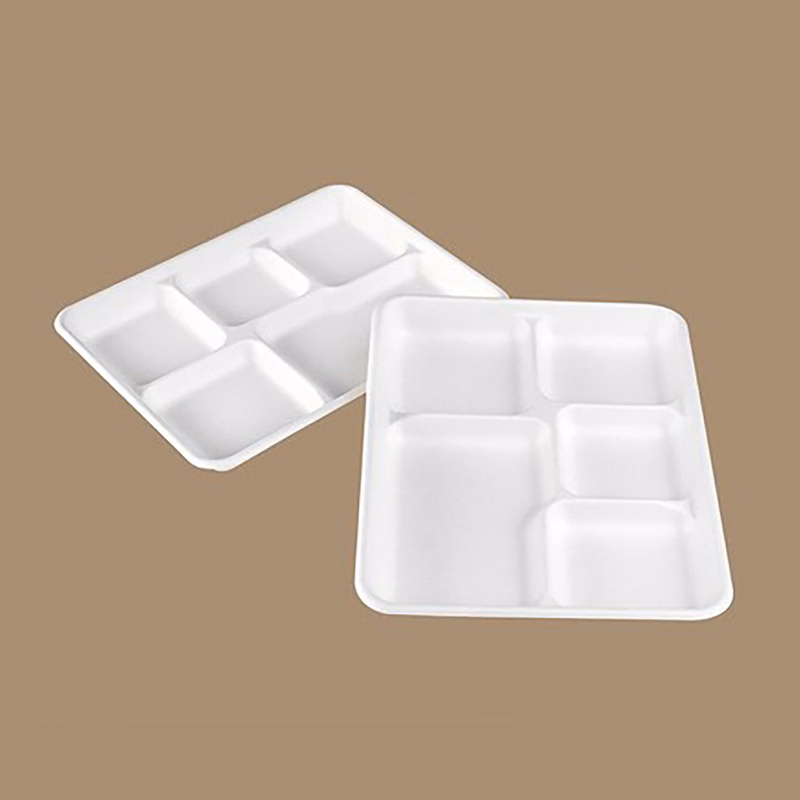 Recycled Disposable Sugar Cane Paper Tray