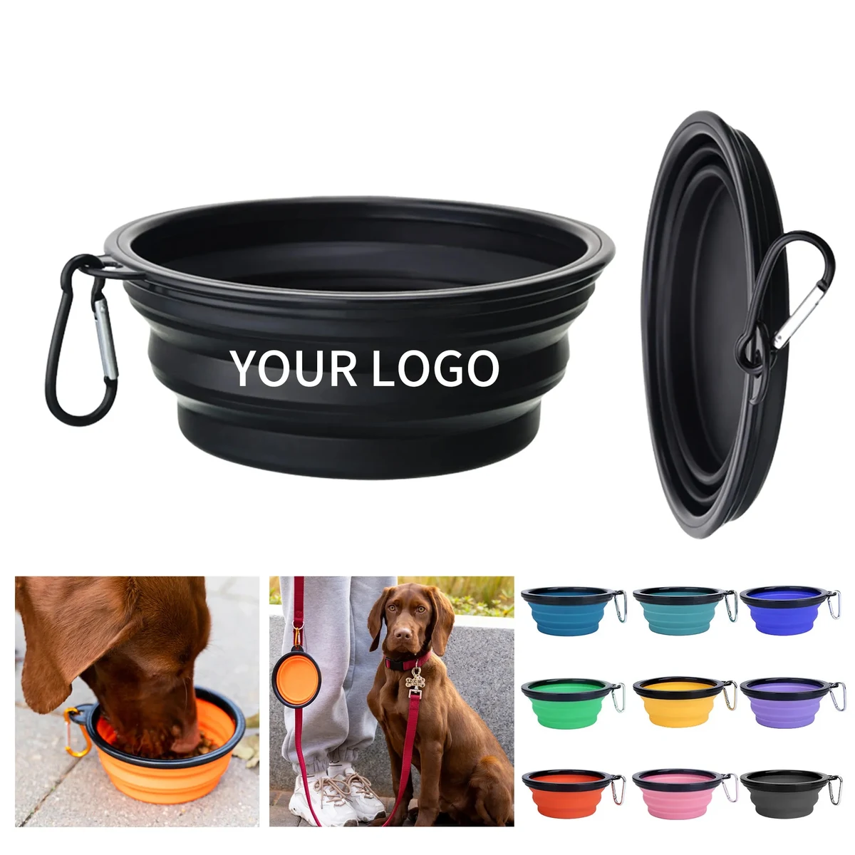 Pet Feeding Dish 1