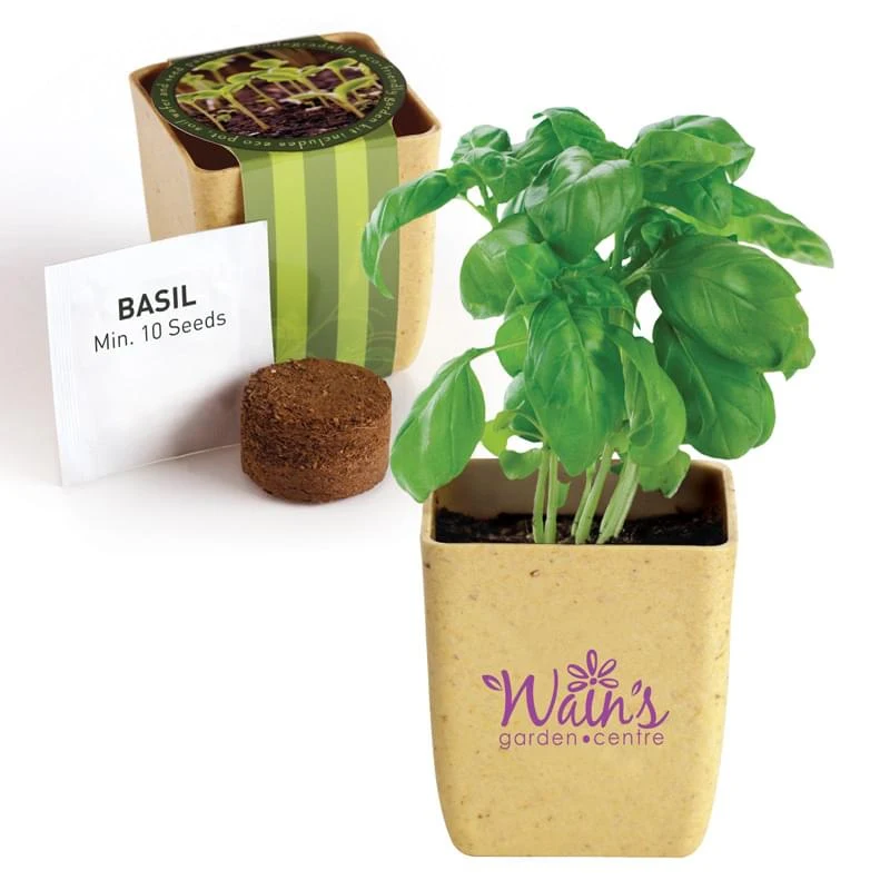Flower Pot Set with Basil Seeds 1