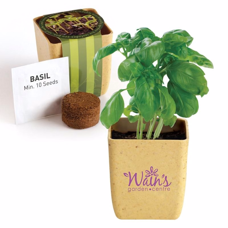 Flower Pot Set with Basil Seeds