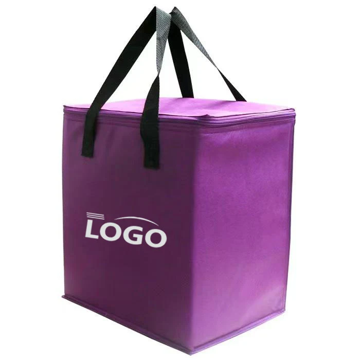 Foldable Insulated Cooler Bag 1
