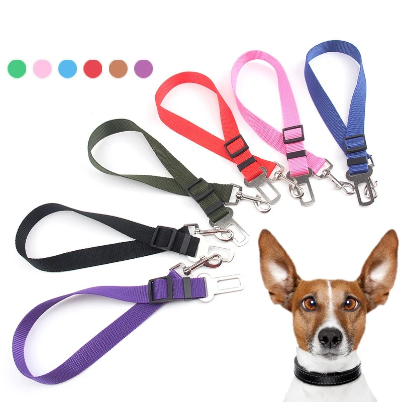 Pet safety belt 1