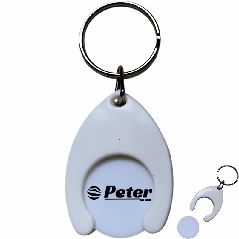 Raindrop Euro Coin Token Keychain