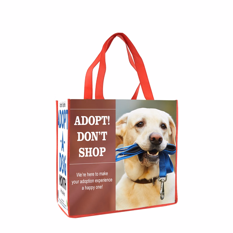 Deluxe 13" Laminated Tote (by AIR to CA)