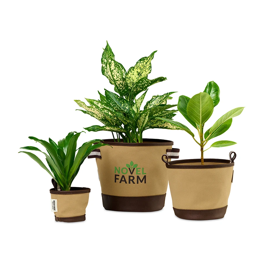 Heritage Supply™ Plant, Grow and Store Trio of Pots 1