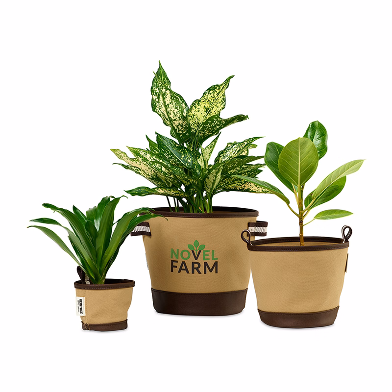 Heritage Supply™ Plant, Grow and Store Trio of Pots