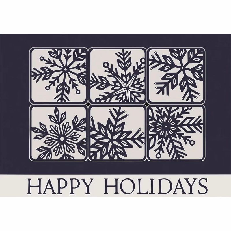Silvery Snow Holiday Cards