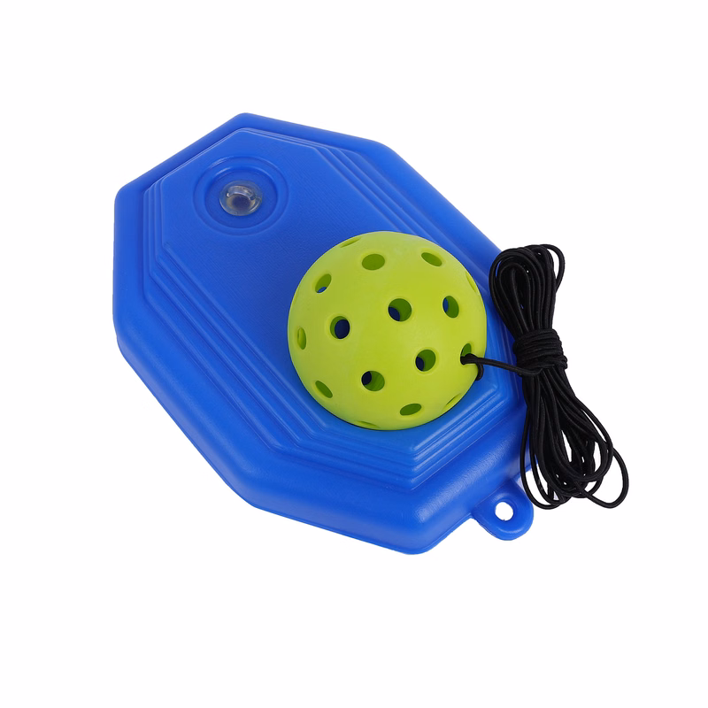 Pickleball Rebound Trainer with 40 Hole Ball