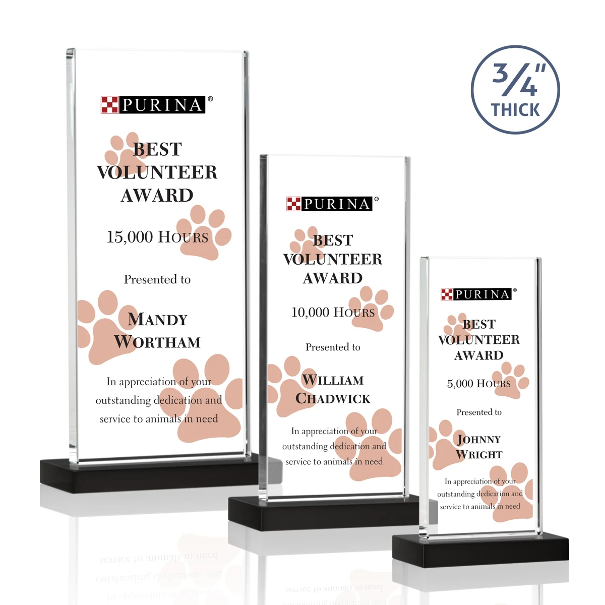 Arizona VividPrint™ Award - Black 1
