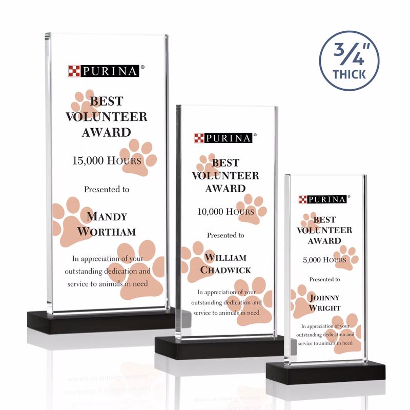 Arizona VividPrint™ Award - Black