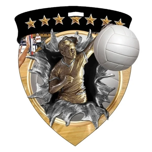 Color Burst Medals/Volleyball 1