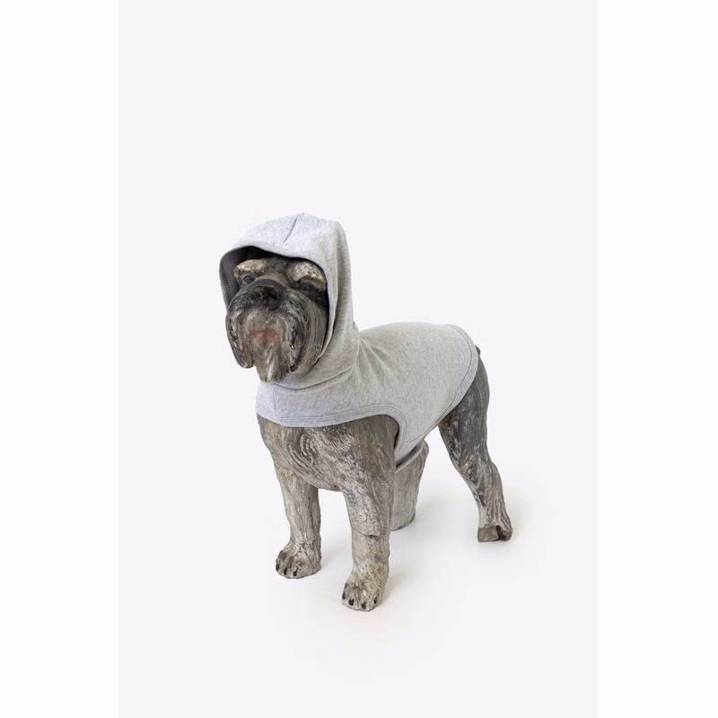 DOGSWEATER