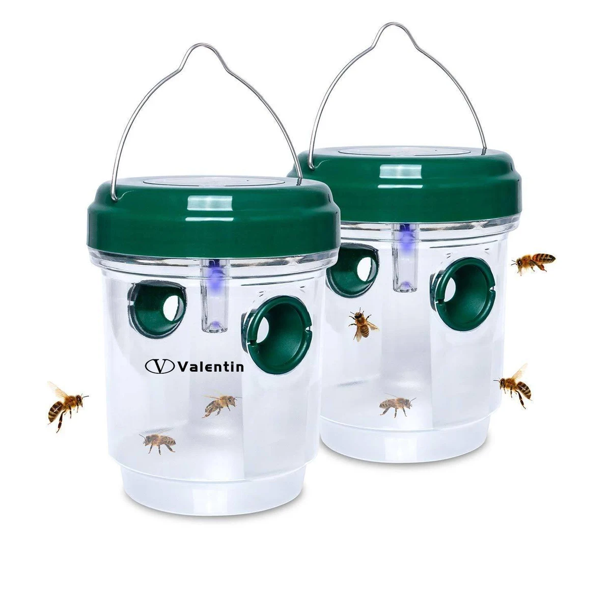 Solar Wasp Trap 1