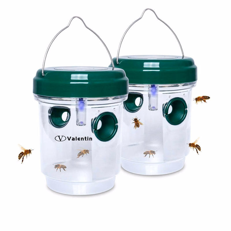 Solar Wasp Trap