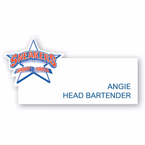 Deluxe Plastic Name Badge (6-10 Sq In)