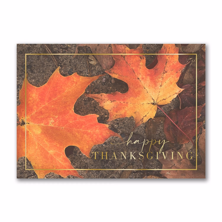 Autumn Color Thanksgiving Card