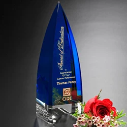 Culmination Indigo Award 1
