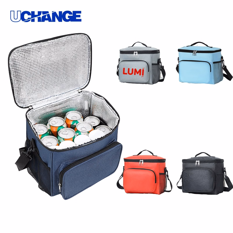 10L Lunch Cooler Bag Organizer