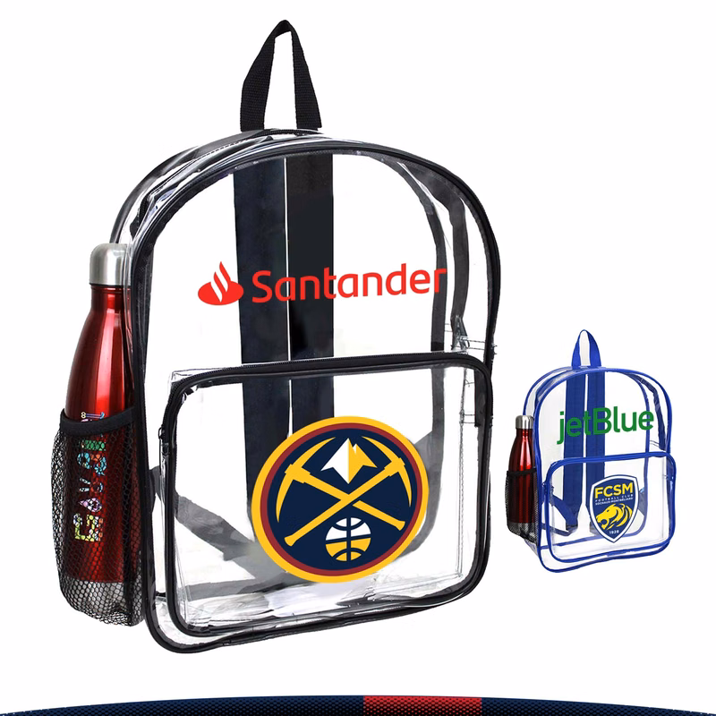 Faddish Clear Backpack