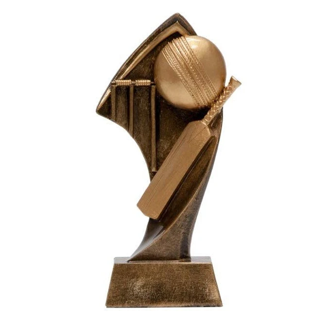 Cricket Award 1
