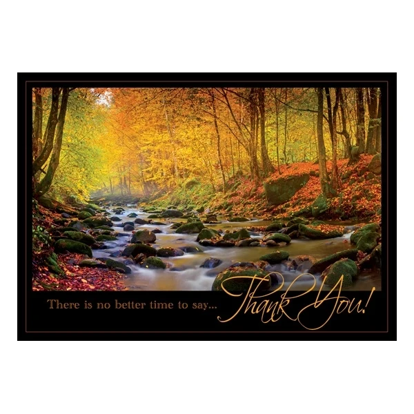 Radiant Thanks Thanksgiving Cards 1