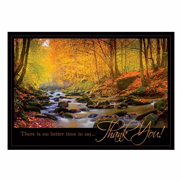 Radiant Thanks Thanksgiving Cards