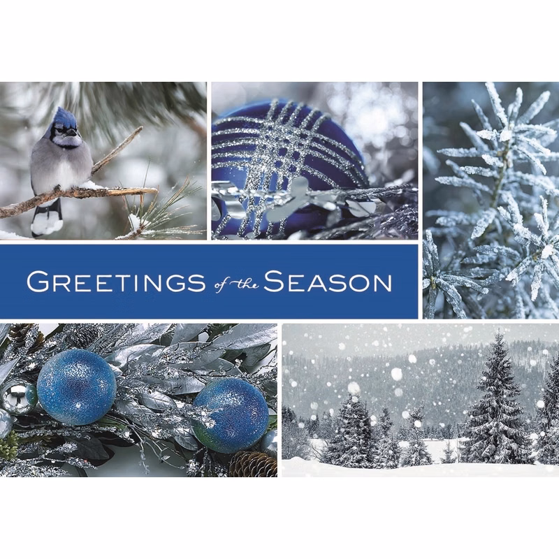 Icy Blue Wonder Holiday Cards