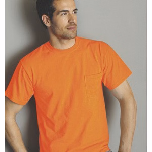 Embroidered G2300 100% Cotton Colored T-shirt with pocket