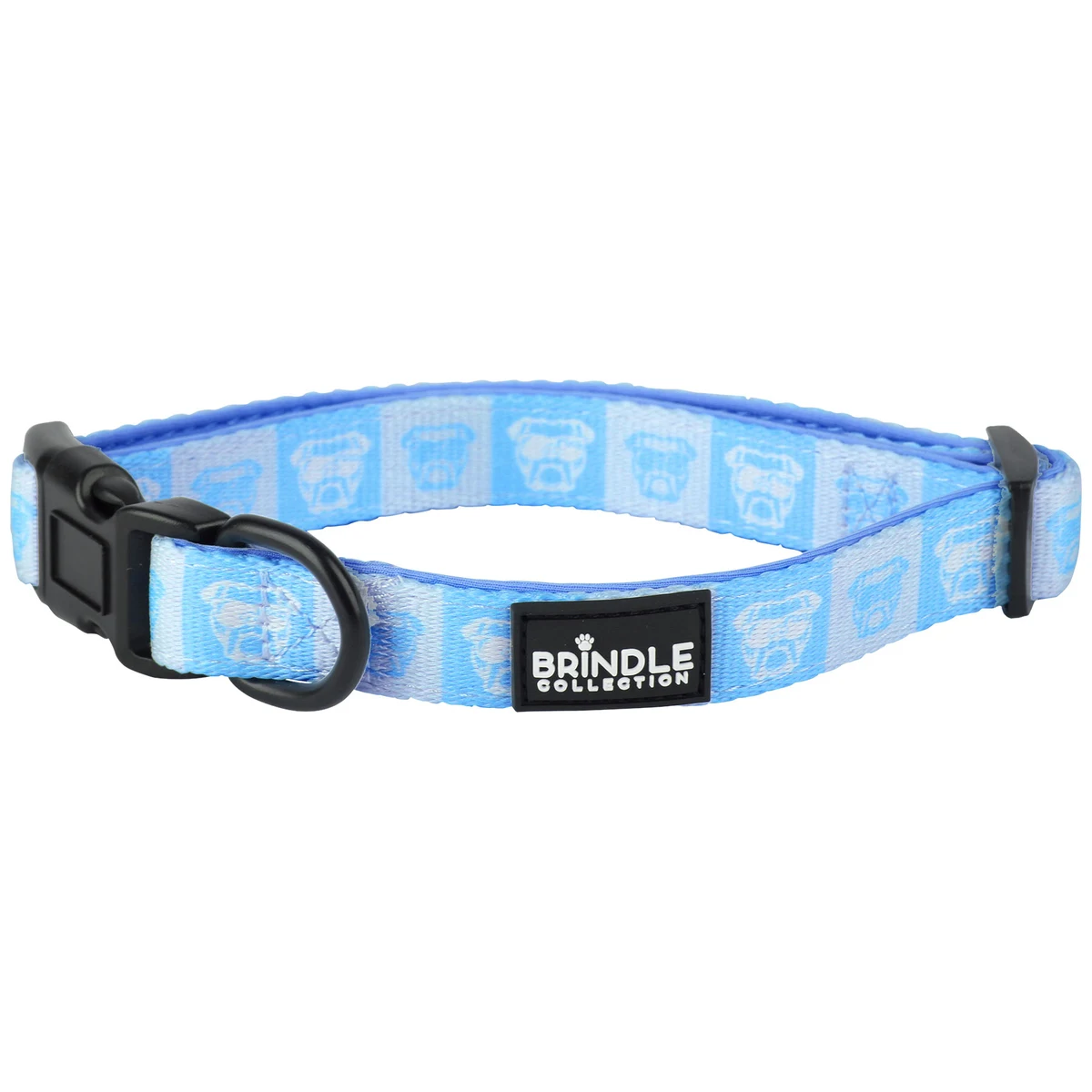 Dog Collar With Neoprene Backing: Medium 1