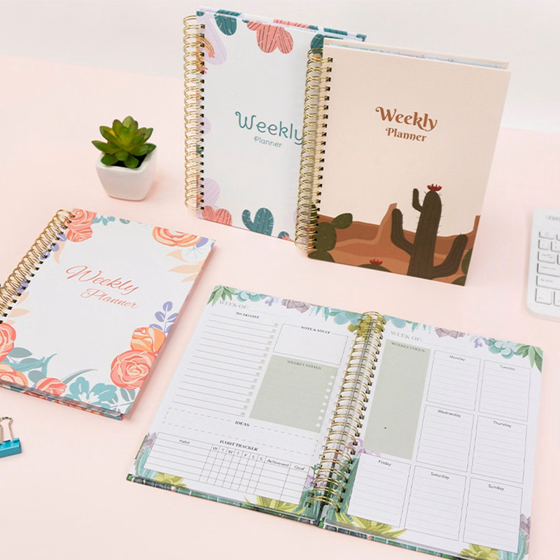 Weekly Plan Organizer