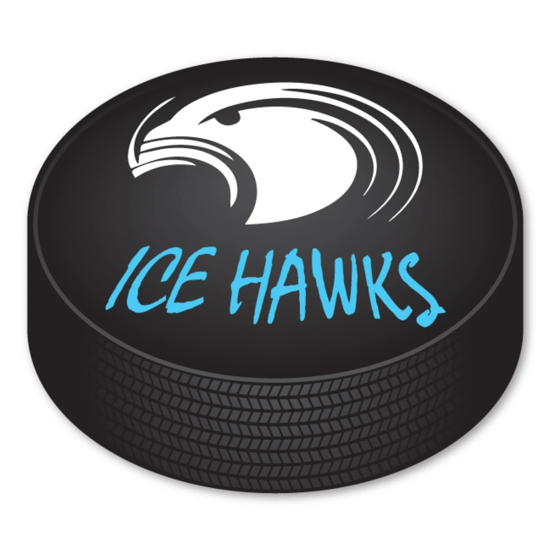 Hockey Puck Magnet - 3.5" x 3" - 30 mil - Outdoor Safe 1