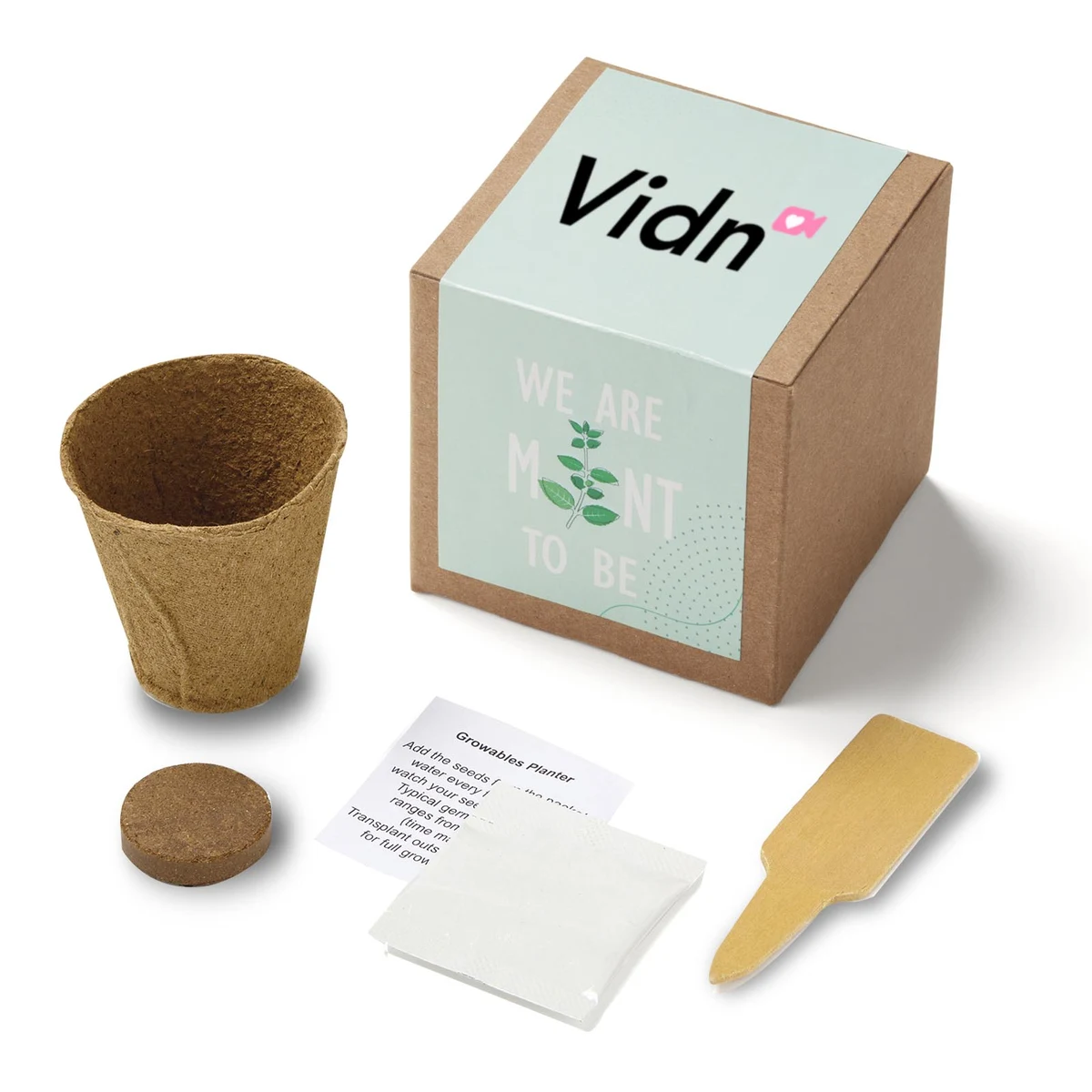 Inspirational Mint to Be Planter in Kraft Gift Box 1