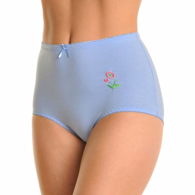 Women's Cotton High Waist Briefs - Assorted