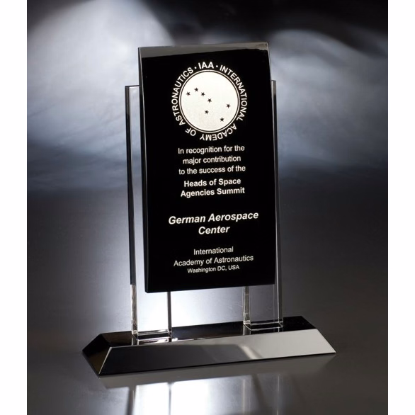 Contemporary Vistas Crystal Mambo Award