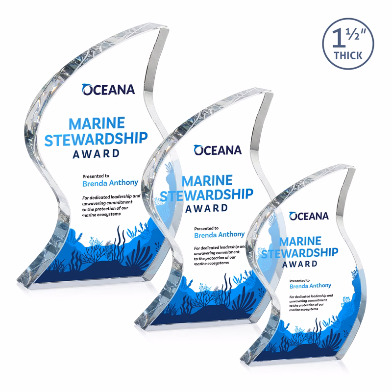 Nexis VividPrint™ Award