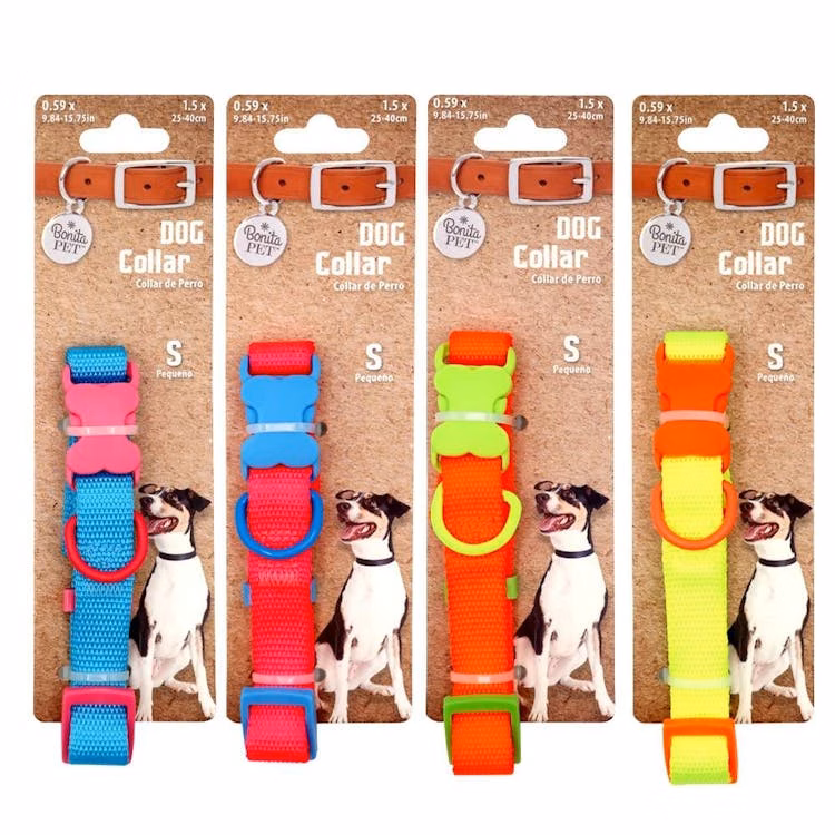 Dog Collars - Neon Small