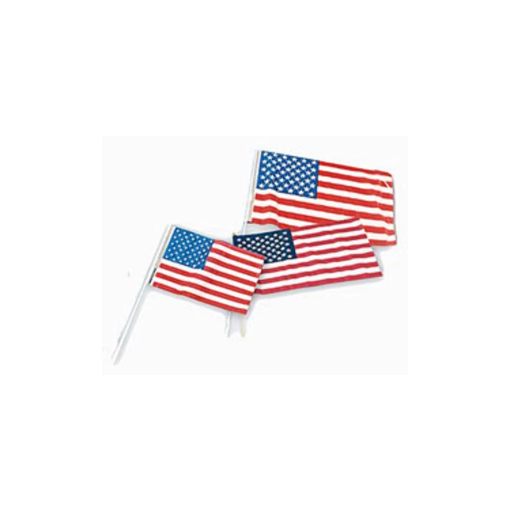 USA Flags - 12" x 18" 1