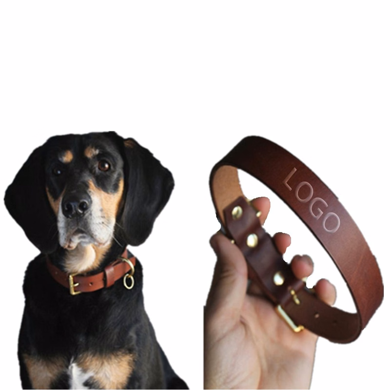 Leather Pet Collar Dog Collar