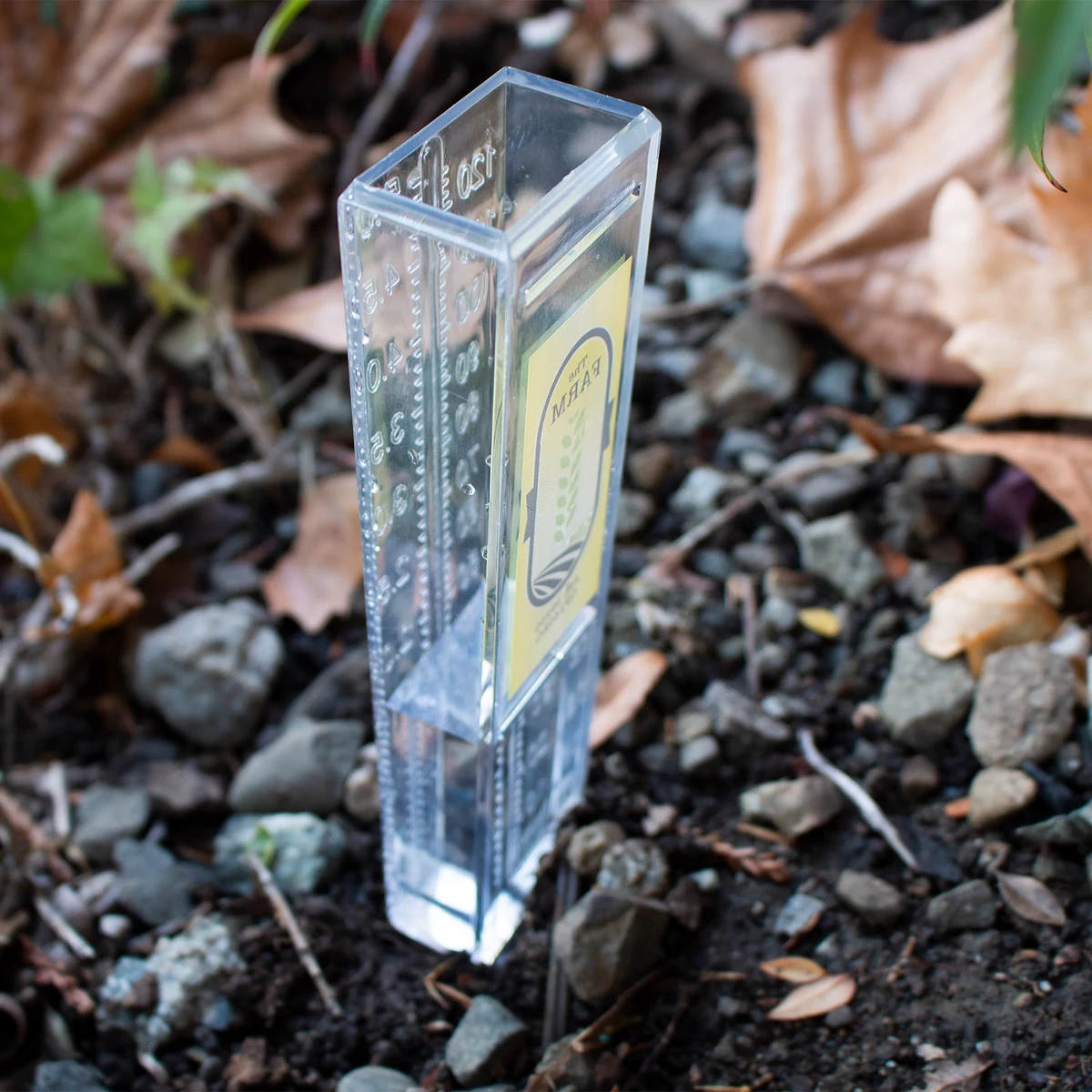 Drizzler 5" Rain Gauge 1