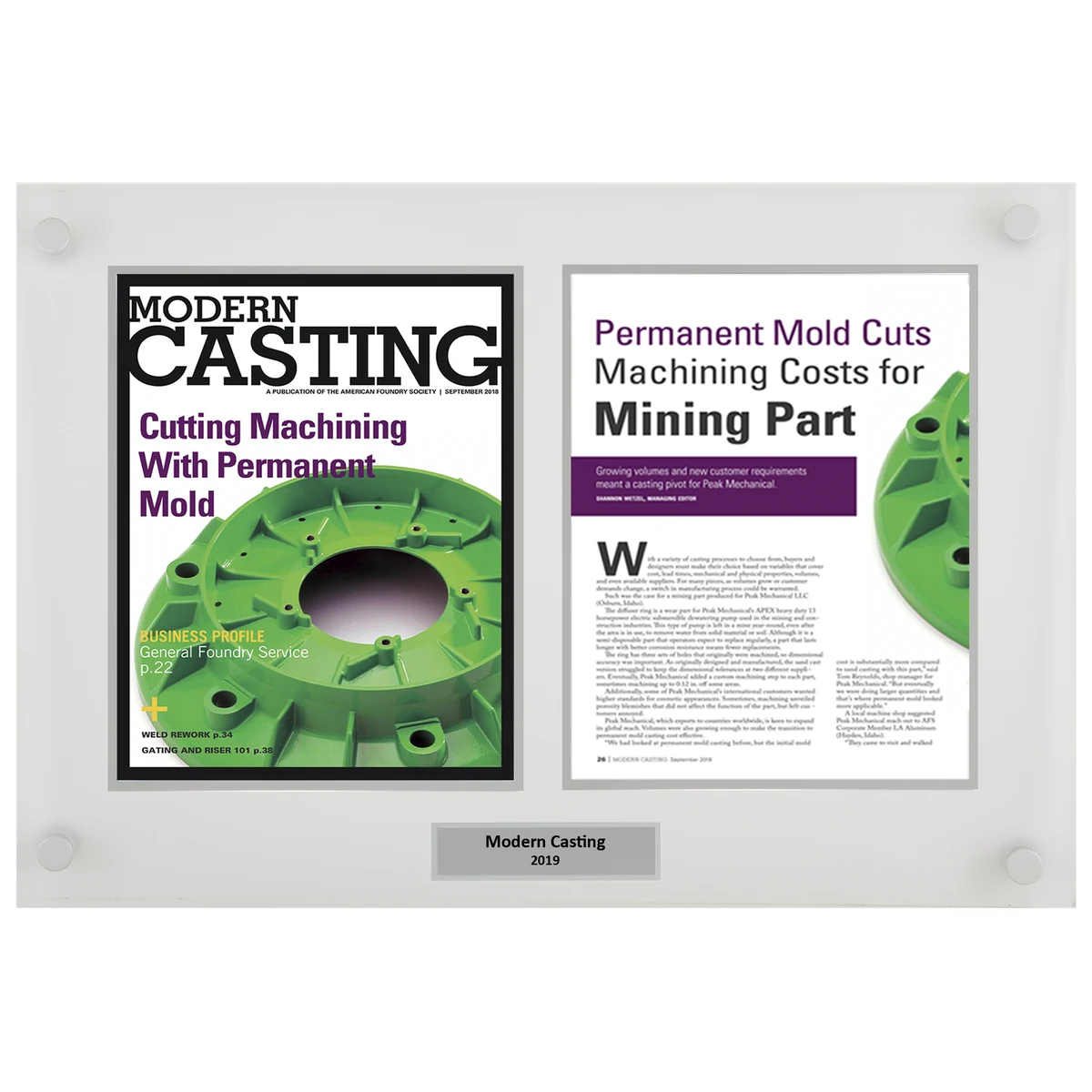Celebrity Media Award Plaque 1